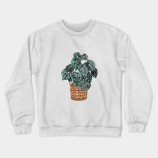 Anthurium Potted Plants Crewneck Sweatshirt